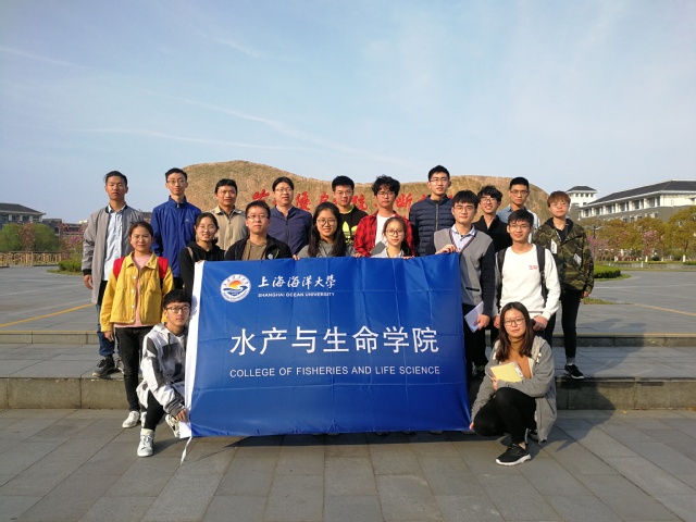 上海五星体育客户端