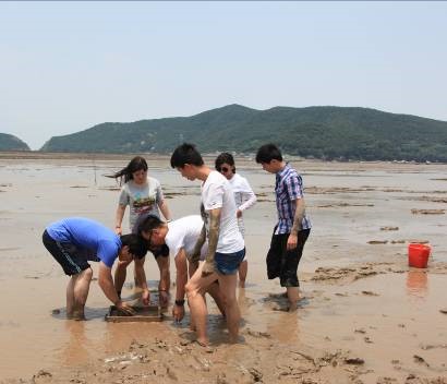 上海五星体育核心通道