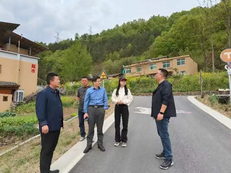 上海五星体育官方指定端