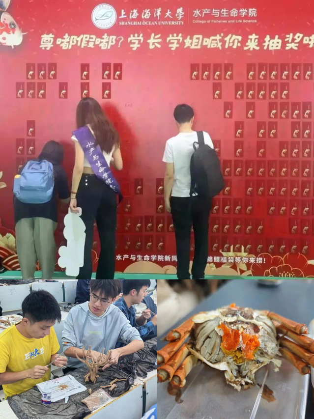上海五星体育互联系统