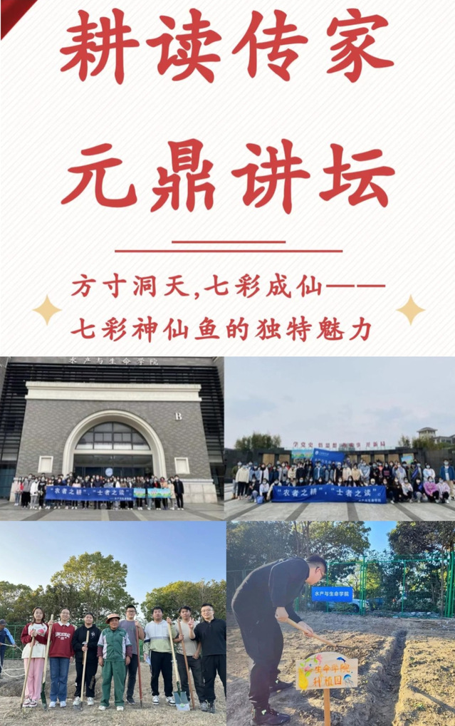 上海五星体育备用网址