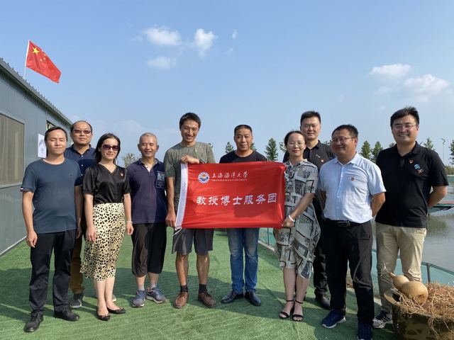 上海五星体育核心通道