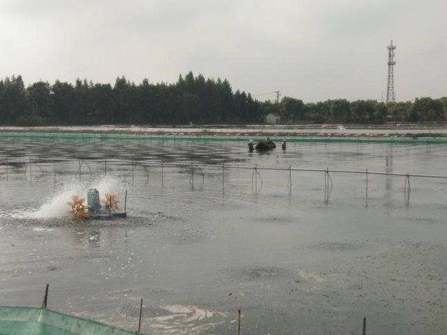 上海五星体育APP下载