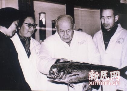 上海五星体育欧冠直播