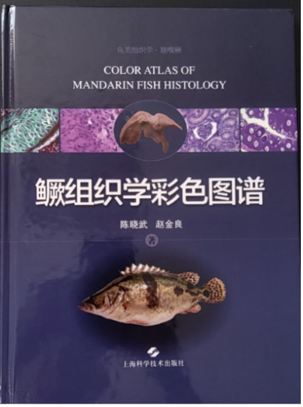 上海五星体育核心通道
