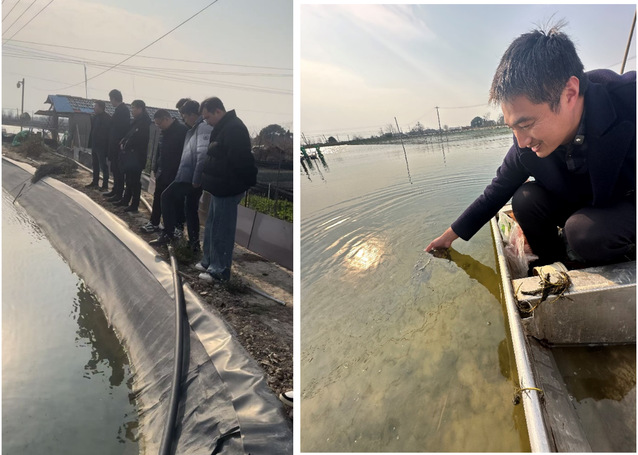 上海五星体育互联系统