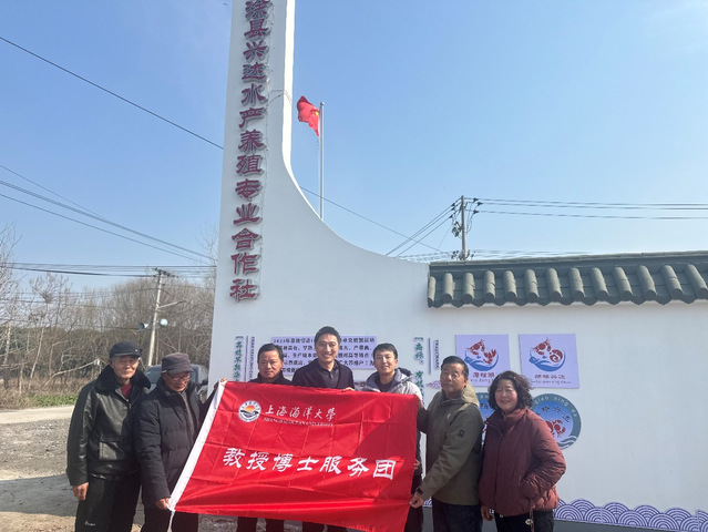 上海五星体育超级联赛