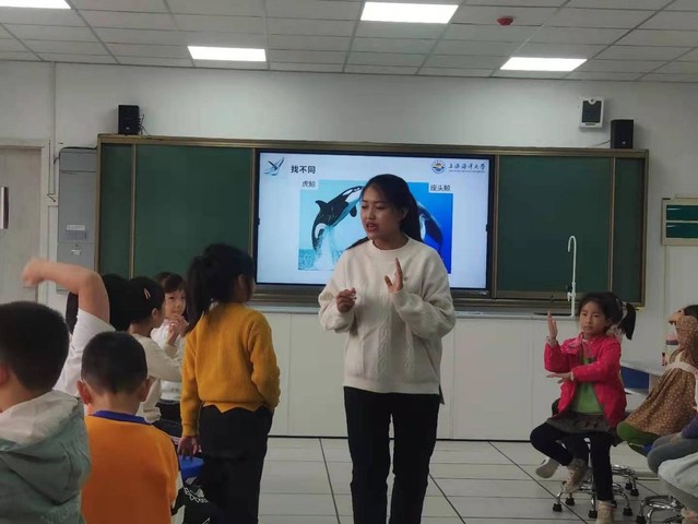 上海五星体育欧洲杯
