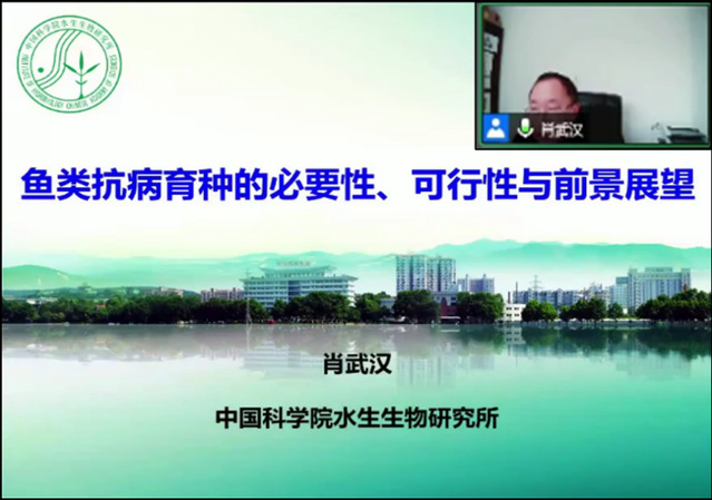 上海五星体育安全通道