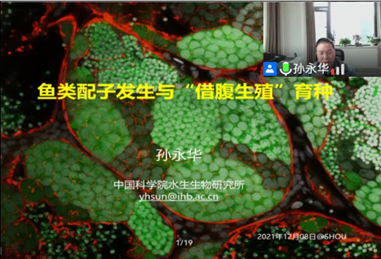 上海五星体育官方指定端
