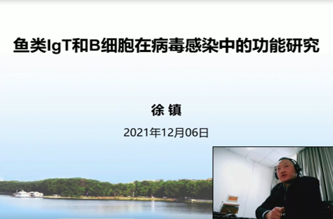 上海五星体育APP下载