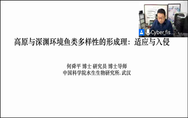 上海五星体育超级联赛