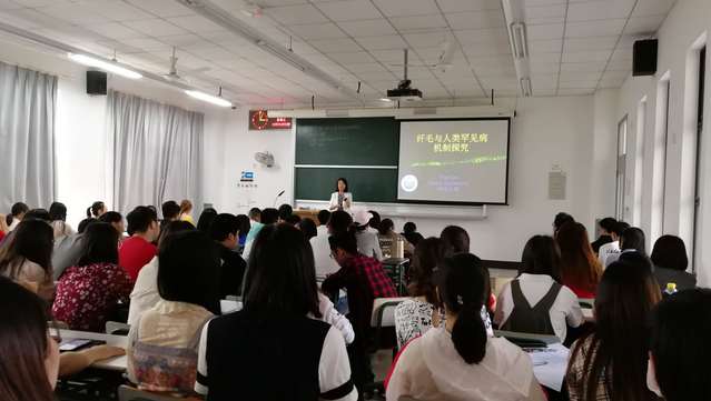 上海五星体育加速节点
