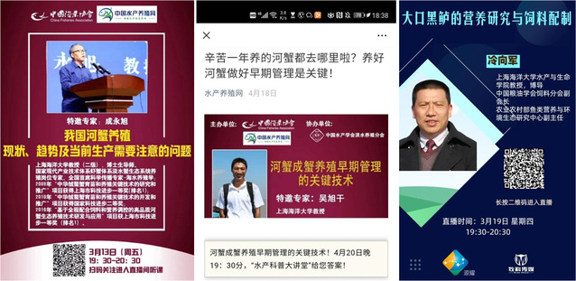 上海五星体育客户端