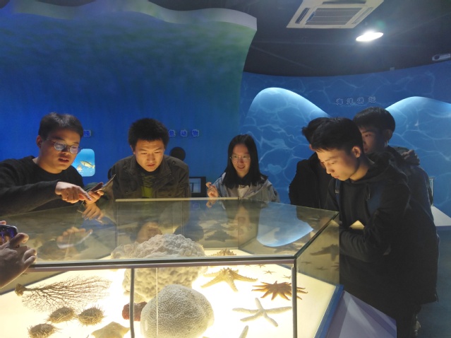 上海五星体育客户端