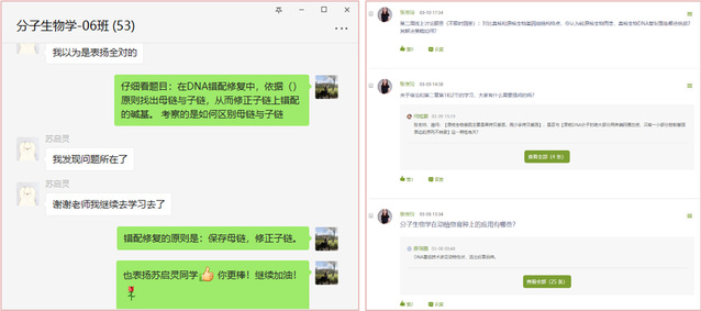 上海五星体育核心通道