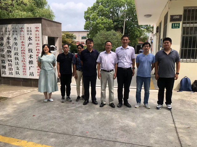 上海五星体育核心通道