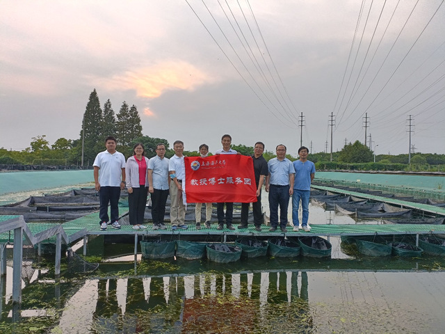 上海五星体育APP下载