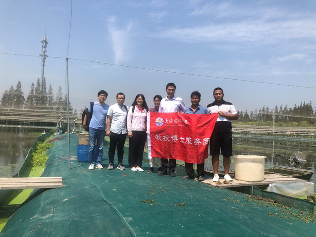 上海五星体育超级联赛