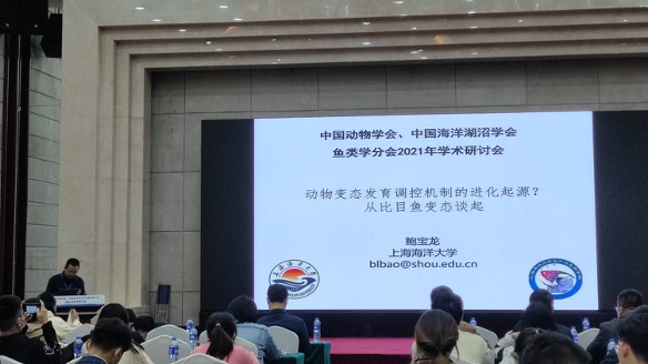 上海五星体育互联系统