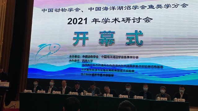 上海五星体育数据中心