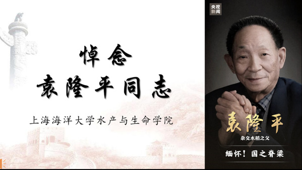 上海五星体育赛事快讯