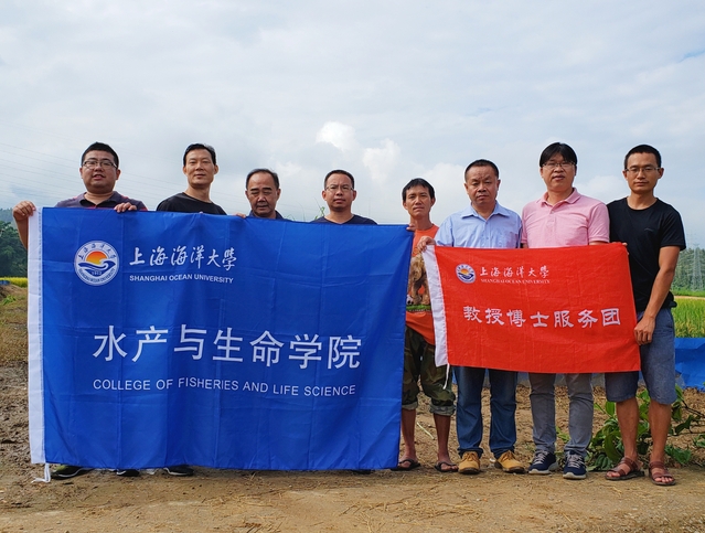 上海五星体育指定入口