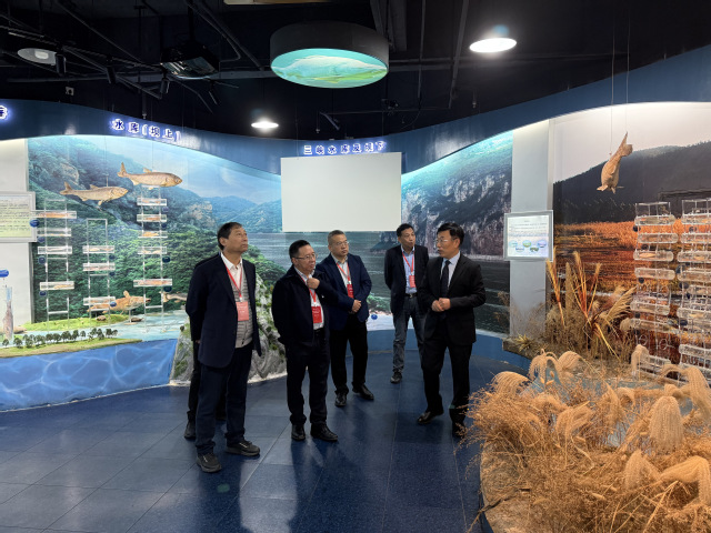 上海五星体育核心通道