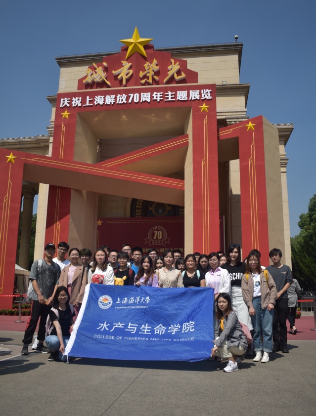 上海五星体育指定通道