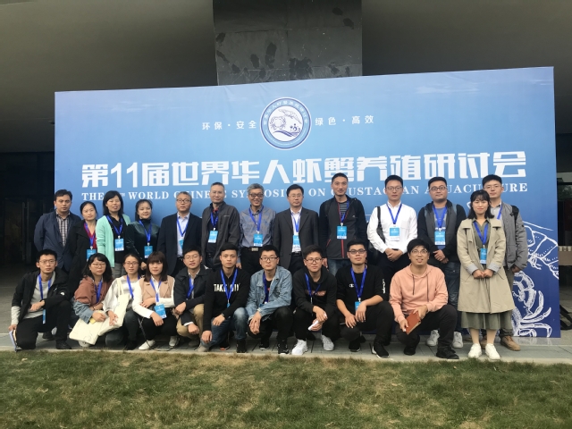 上海五星体育指定通道