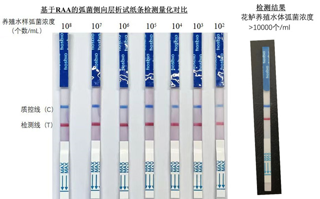 上海五星体育指定通道