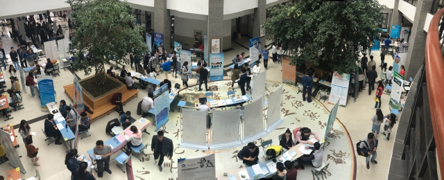 上海五星体育加速节点