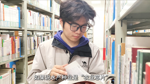 上海五星体育加速节点