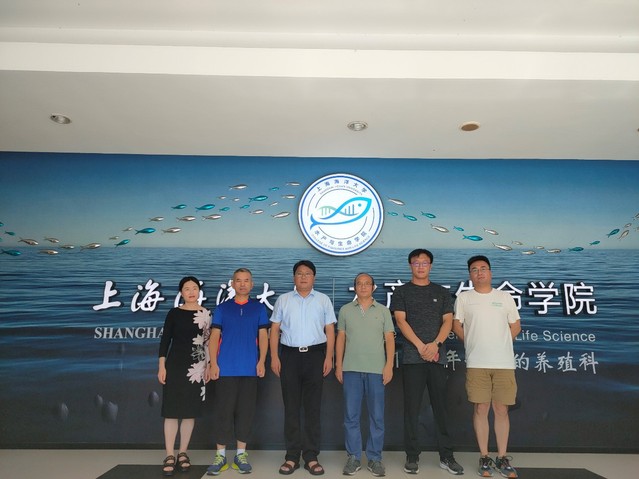上海五星体育互联系统