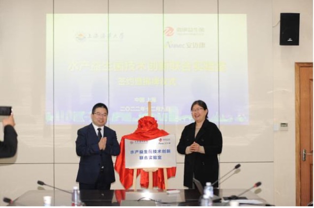 上海五星体育欧洲杯