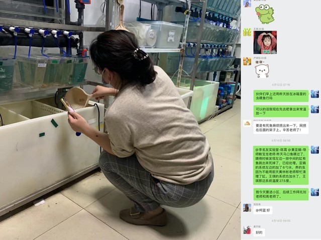 上海五星体育指定入口