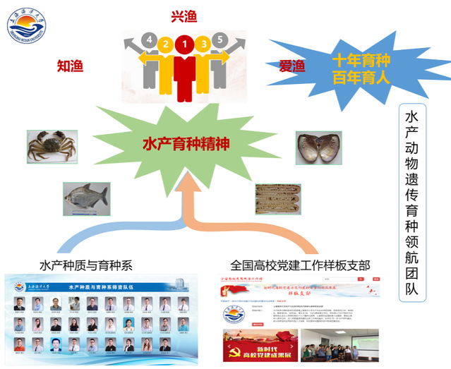 上海五星体育官方指定端