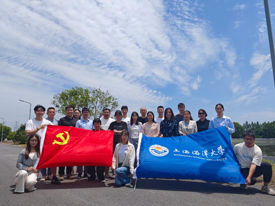 上海五星体育指定通道