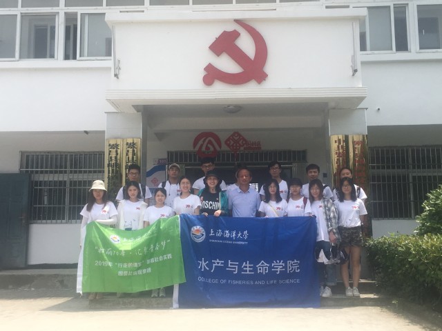 上海五星体育互联系统