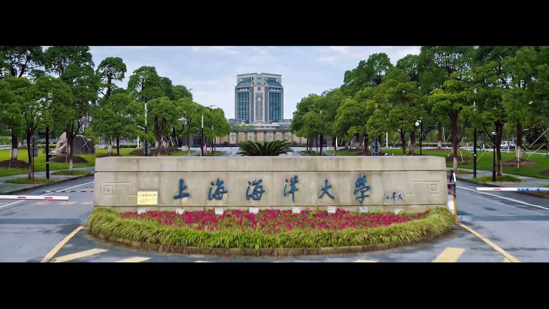 上海五星体育指定入口