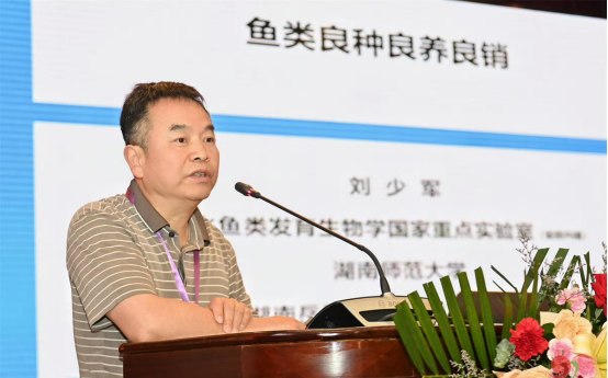上海五星体育官方指定端