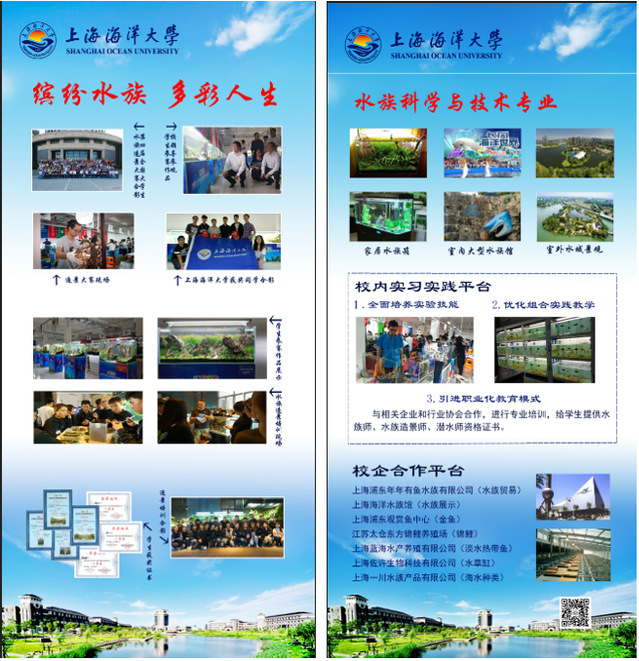 上海五星体育客户端