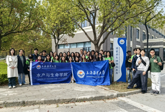 上海五星体育备用网址