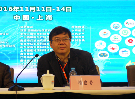 上海五星体育欧洲杯