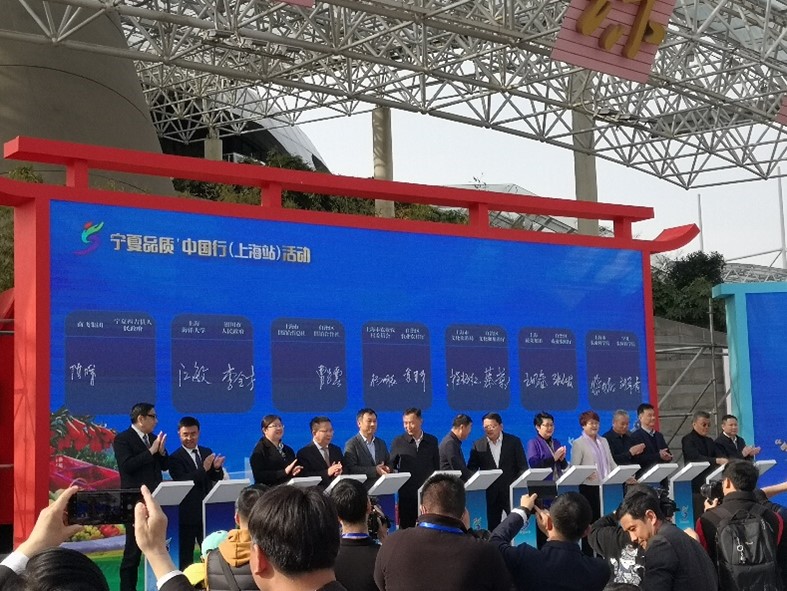 上海五星体育数据中心