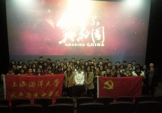上海五星体育核心通道