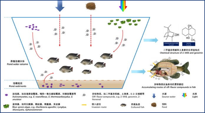 上海五星体育客户端