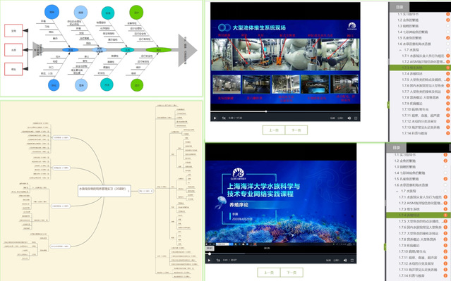 上海五星体育数据中心