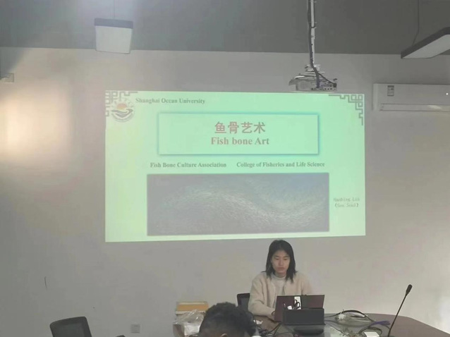 上海五星体育加速节点