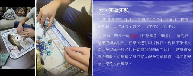 上海五星体育欧洲杯